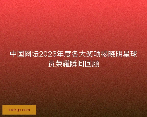 中国网坛2023年度各大奖项揭晓明星球员荣耀瞬间回顾 中国网坛2023年度各大奖项揭晓明星球员荣耀瞬间回顾